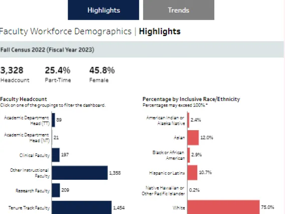 Faculty Workforce Demographics