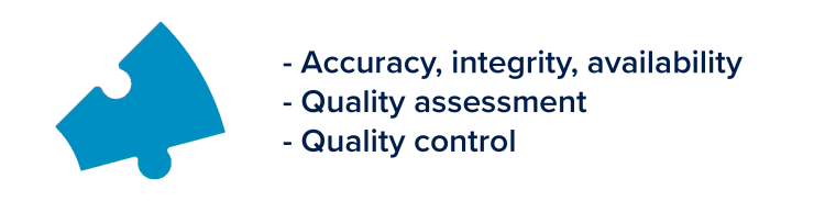 Oasis puzzle piece with bullet points describing Data Quality to the right of it