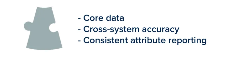 Silver puzzle piece with bullet points describing Master Data to the right of it